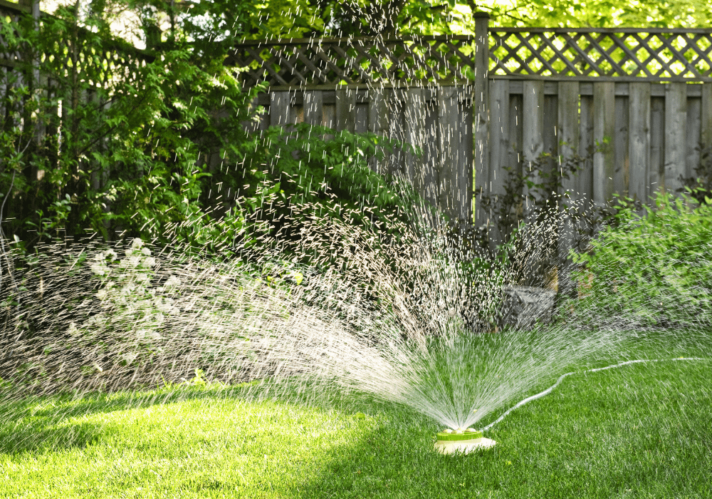 Wassersprenkler © Elena Photo via canva.com